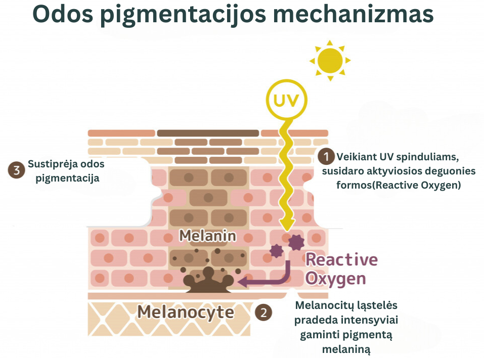 pigmentines demes
odos pigmentacija
anti-aging