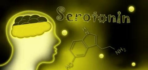 serotoninas laimes hormonas