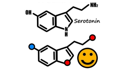 serotoninas dopominas