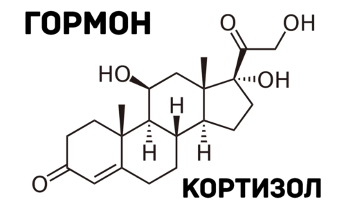 гормон кортизол